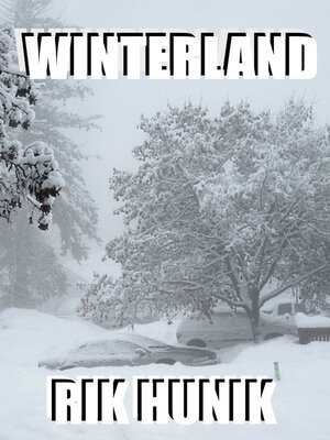 cover image of Winterland